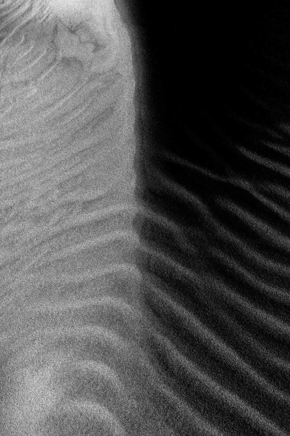 arena-vertebral