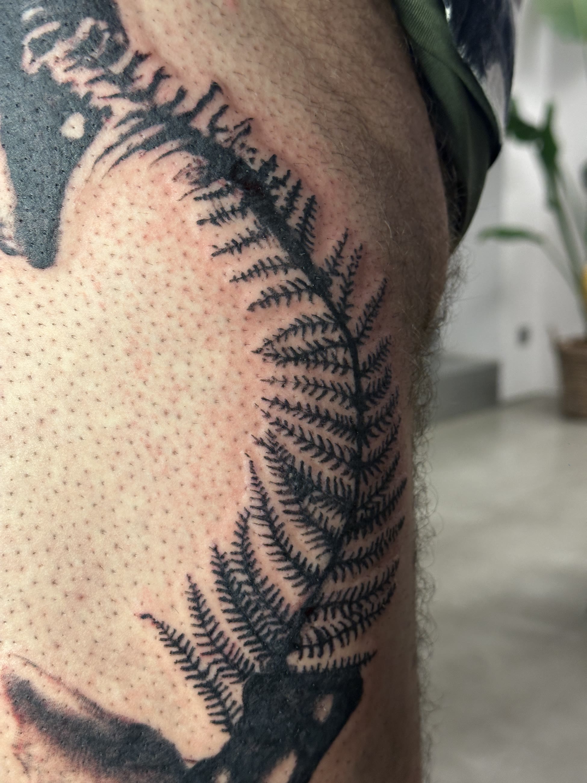 tattoo-3